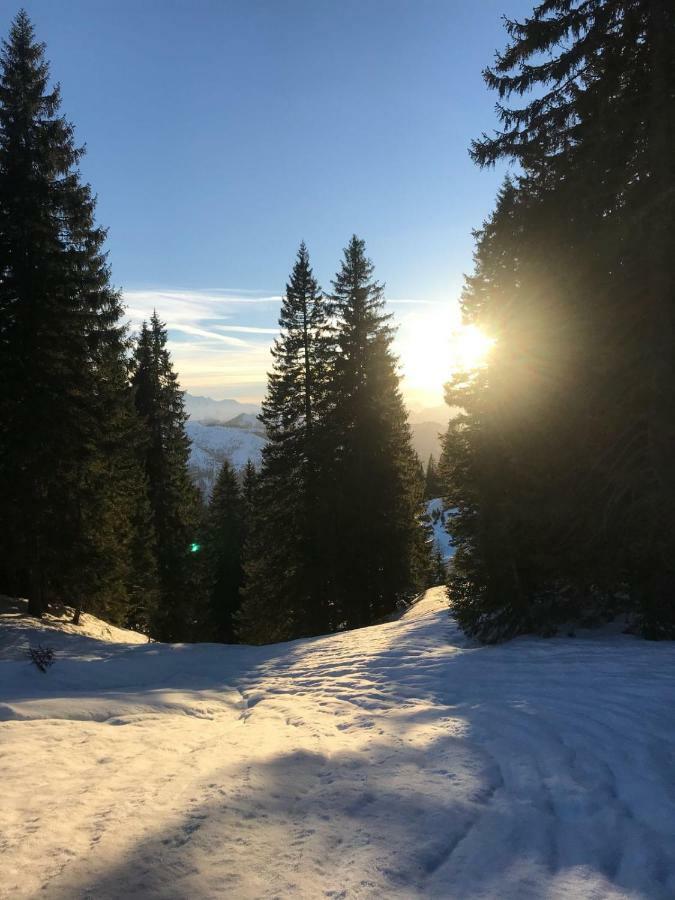 Apartment Kaprun Niedernsill Dış mekan fotoğraf