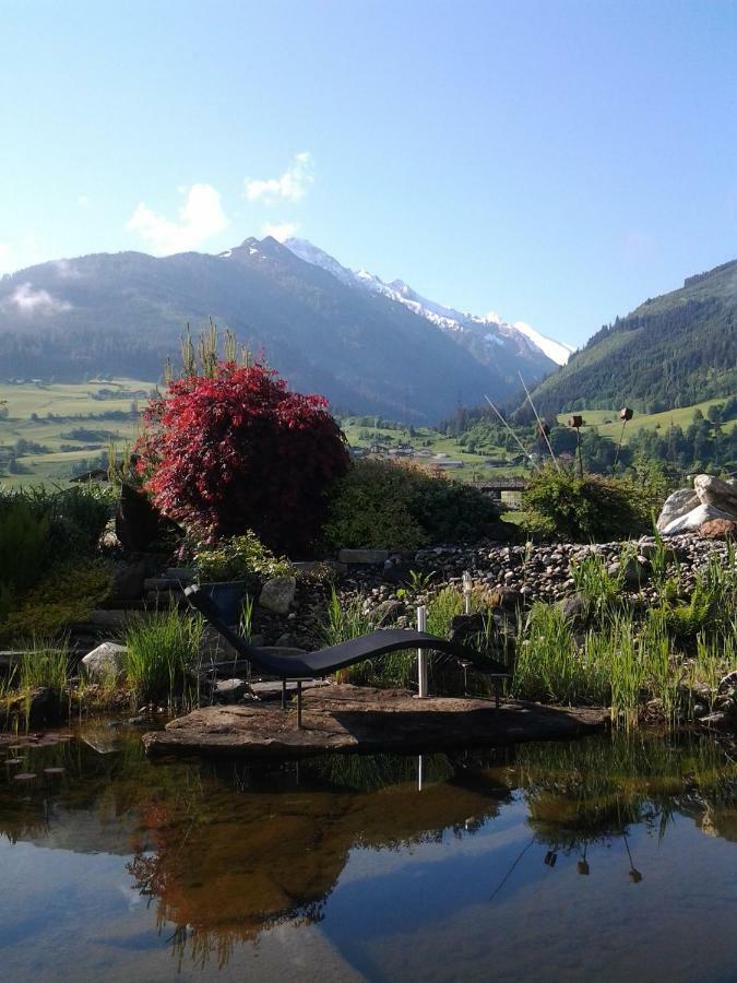 Apartment Kaprun Niedernsill Dış mekan fotoğraf